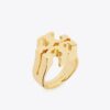 Anillo Icon