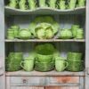 Bandeja ovalada Lettuce Ware