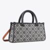 Bolso pequeño East-West con T Monogram