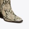 Bota western