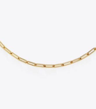 Collar Icon Chain