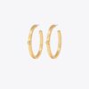 Pendientes Icon Hoop