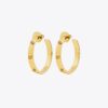 Pendientes Icon Hoop