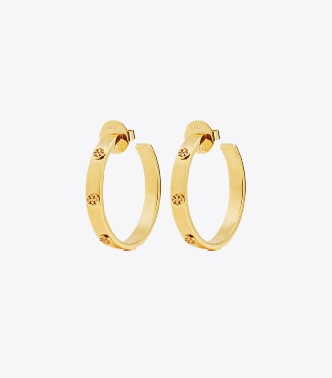 Pendientes Icon Hoop