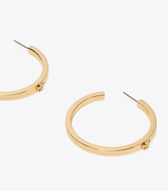 Pendientes Icon Hoop