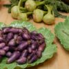 Plato para crudités Lettuce Ware