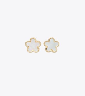 Set de regalo Forget Me Not