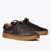 Zapatillas Phoenix Zapatillas Phoenix