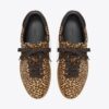 Zapatillas Phoenix Zapatillas Phoenix
